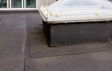 disadvantages of Ballydivity flat roofs