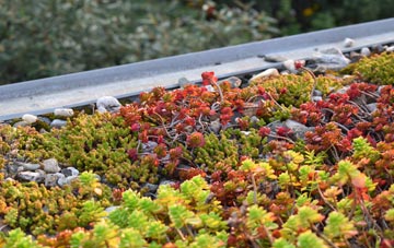 the cost of Ballydivity green roof installation