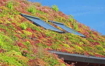 Ballydivity living roof systems
