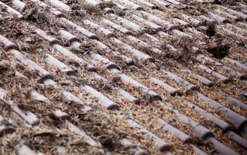 Ballydivity roof cleaning companies