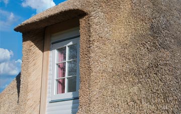 Ballydivity thatch roof disadvantages